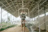 КАПОЧКА — фото 4
